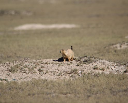 img_0530