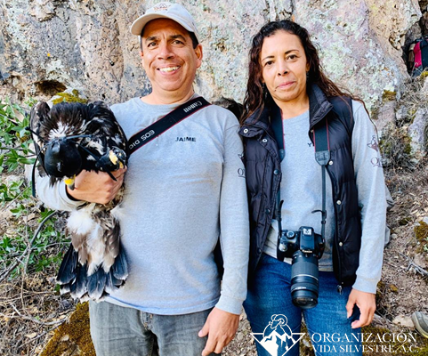 transmisor-aguila-real_5-junio-2020_3