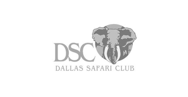 logo-02-dsc